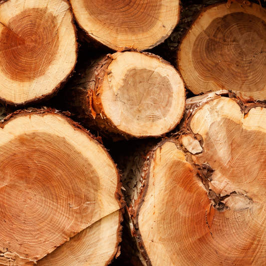 Cedarwood Atlas EO (cedr)