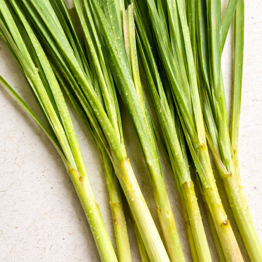 Lemongrass EO (trawa cytrynowa)