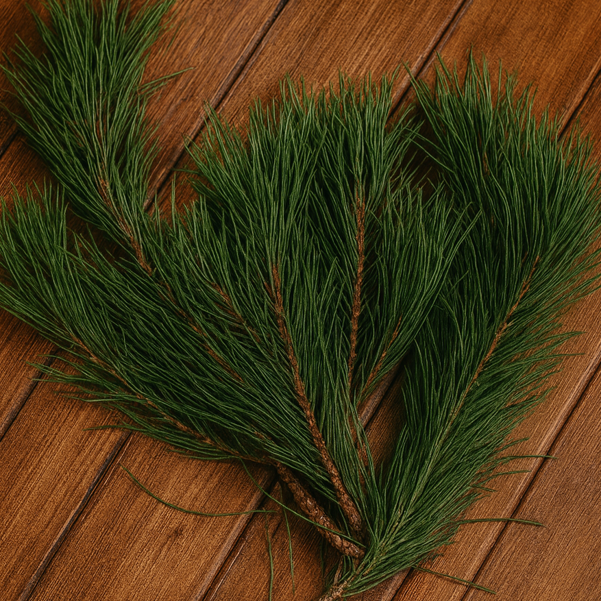 Pine Siberian