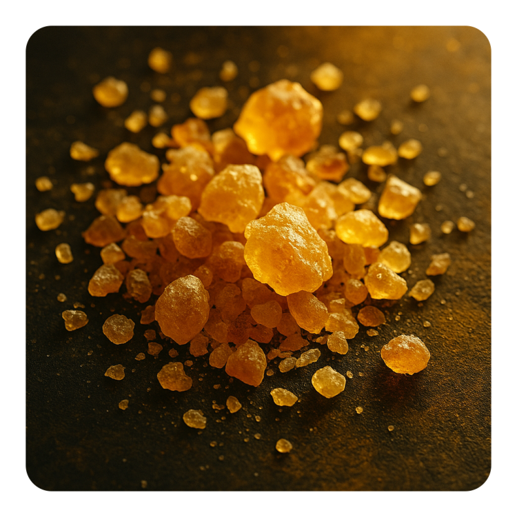 Benzoin (Styrax tonkinensis).png