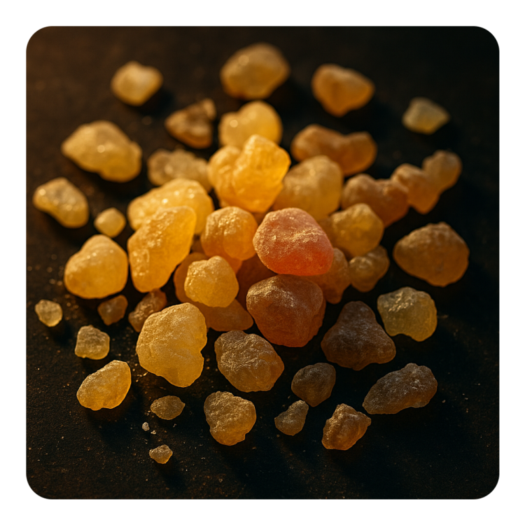Olibanum Resinoid.png