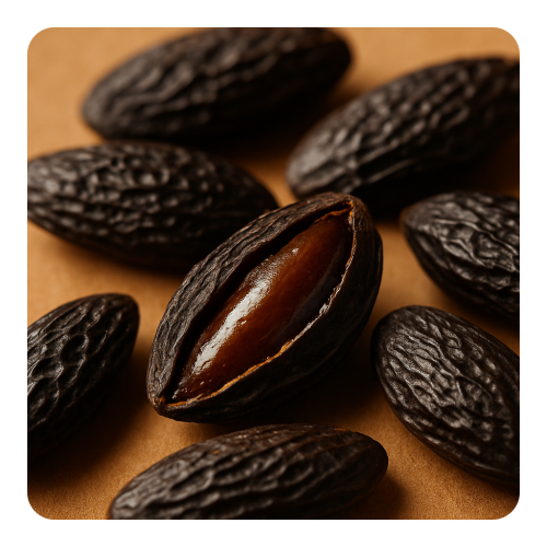Tonka Bean Absolute.png