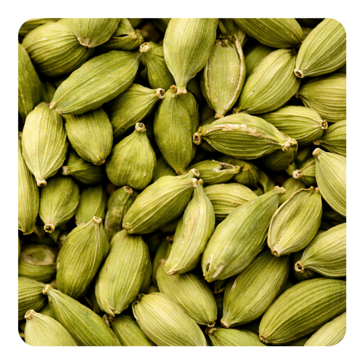 Cardamom
