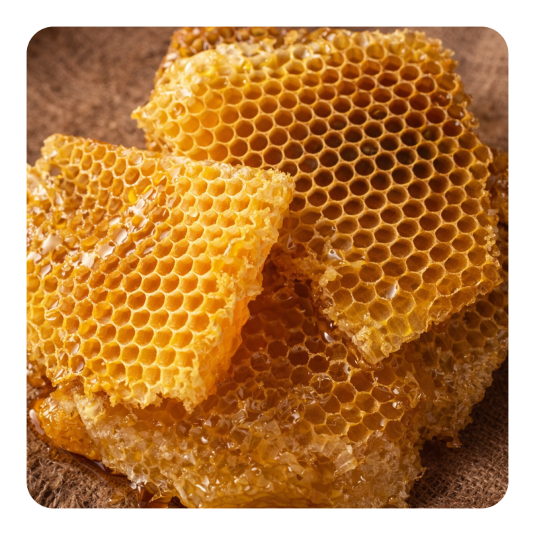 Beeswax.png