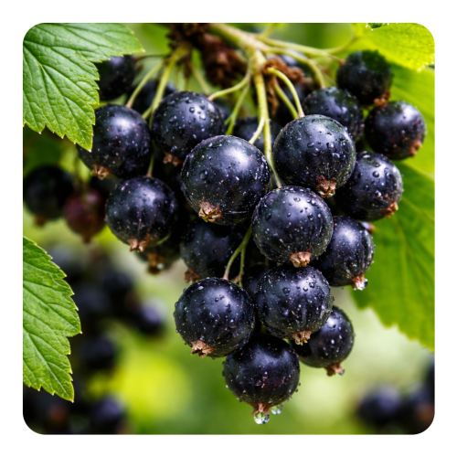 ChatGPT Image 3 lut 2026 o 17_16_53.png