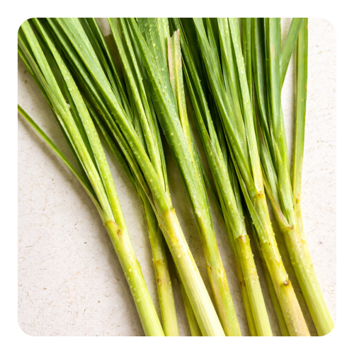 Lemongrass