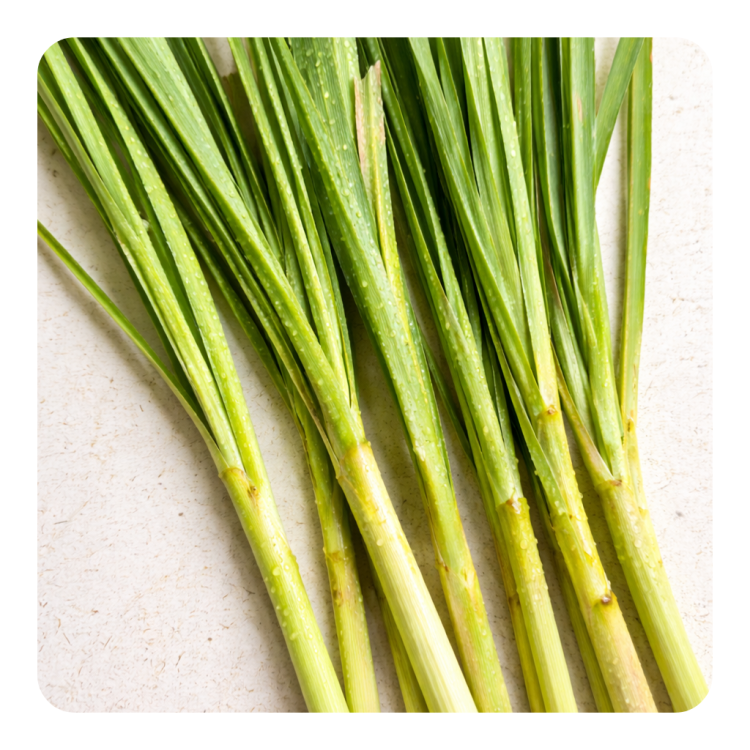 Lemongrass